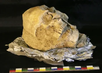 Kementerian Kebudayaan Gelontorkan Rp2,3 Miliar untuk Revitalisasi Museum Purbakala Provinsi Gorontalo