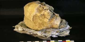 Kementerian Kebudayaan Gelontorkan Rp2,3 Miliar untuk Revitalisasi Museum Purbakala Provinsi Gorontalo